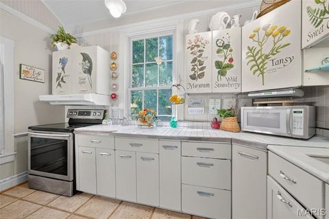 Tiny photo for 400 S Woodlawn Avenue, Kirkwood, MO 63122 (MLS # 25060145)
