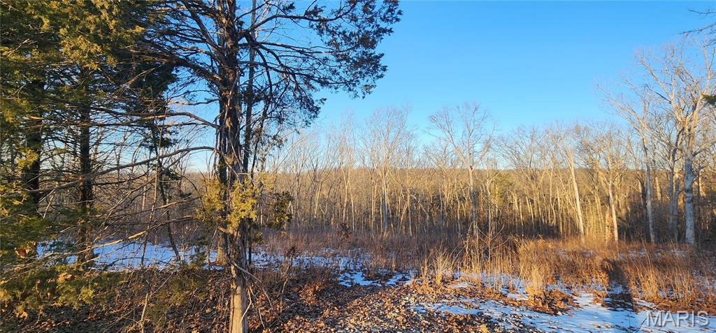 Twin Fawn Estates - Land