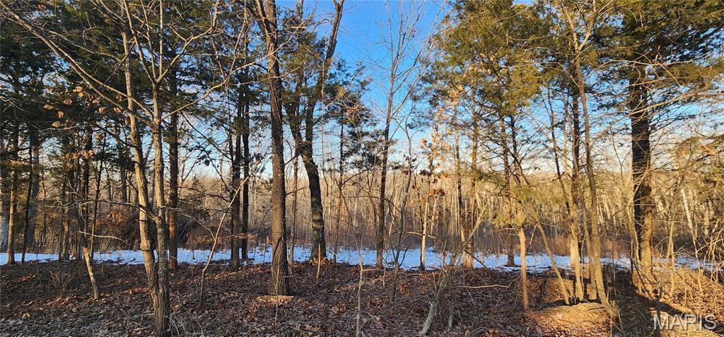 Twin Fawn Estates - Land