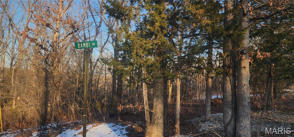 Twin Fawn Estates - Land