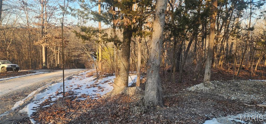 Twin Fawn Estates - Land