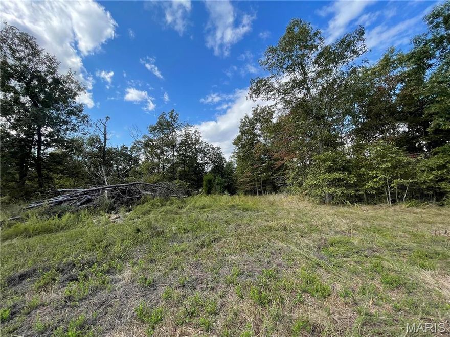 Woodland Heights Subdivision:  Now is your opportunity to build on this beautiful lot just minutes from Poplar Bluff, MO in scenic wooded area.  Lots range from 4.5 - 5 acres m/l.