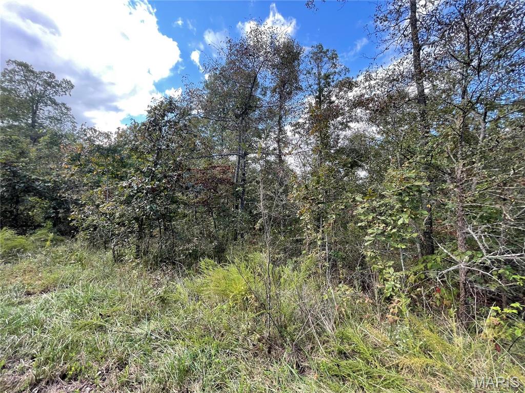 Woodland Heights - Land