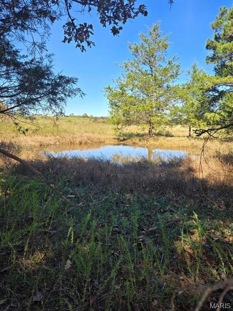 000 County Road 455 Birch Tree MO 65438