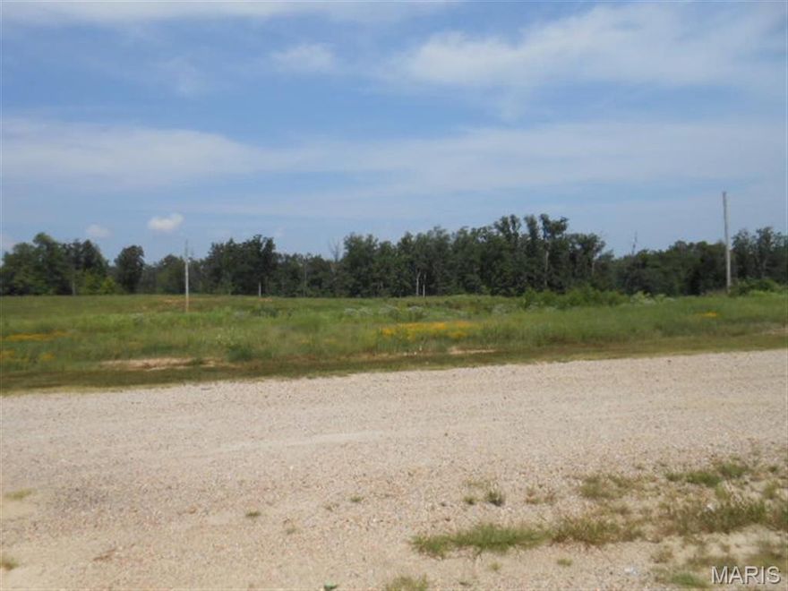 $399,000 Hwy 67 South, high traffic counts on this 4 acre more or less tract with highway frontage.  This tract has been split off the larger parent parcel that used to be the home of the Motor Harbor.  This is the middle tract.  All utilities available.