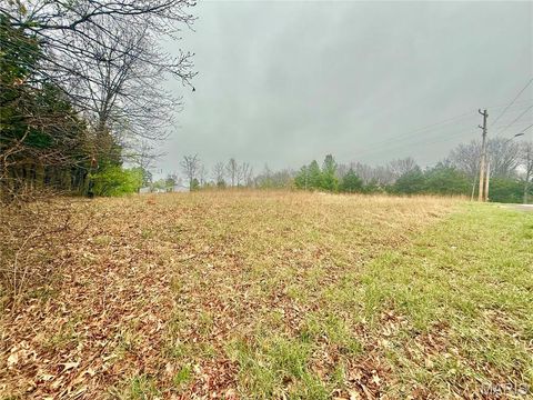 Tiny photo for 13607 State Road Jj, De Soto, MO 63020 (MLS # 26019206)