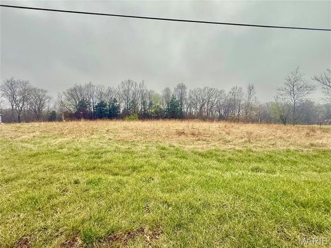 Tiny photo for 13607 State Road Jj, De Soto, MO 63020 (MLS # 26019206)