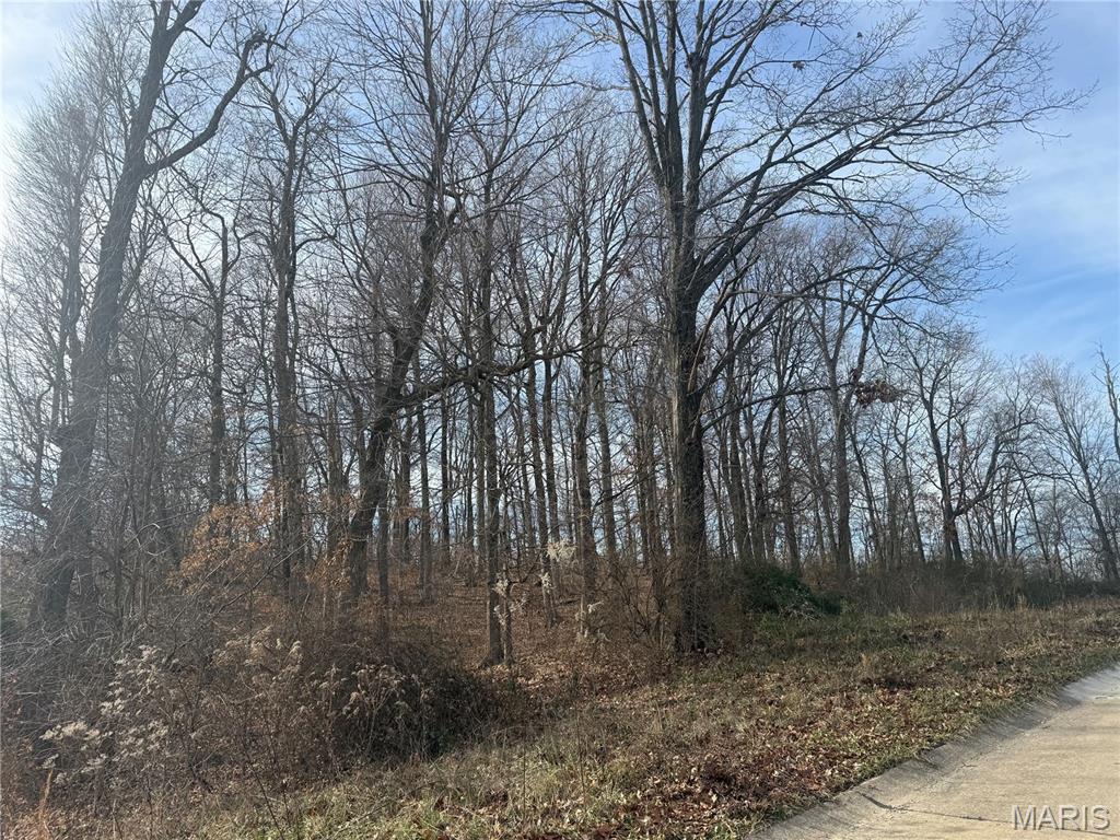 Meadows/Whispering Oaks - Land