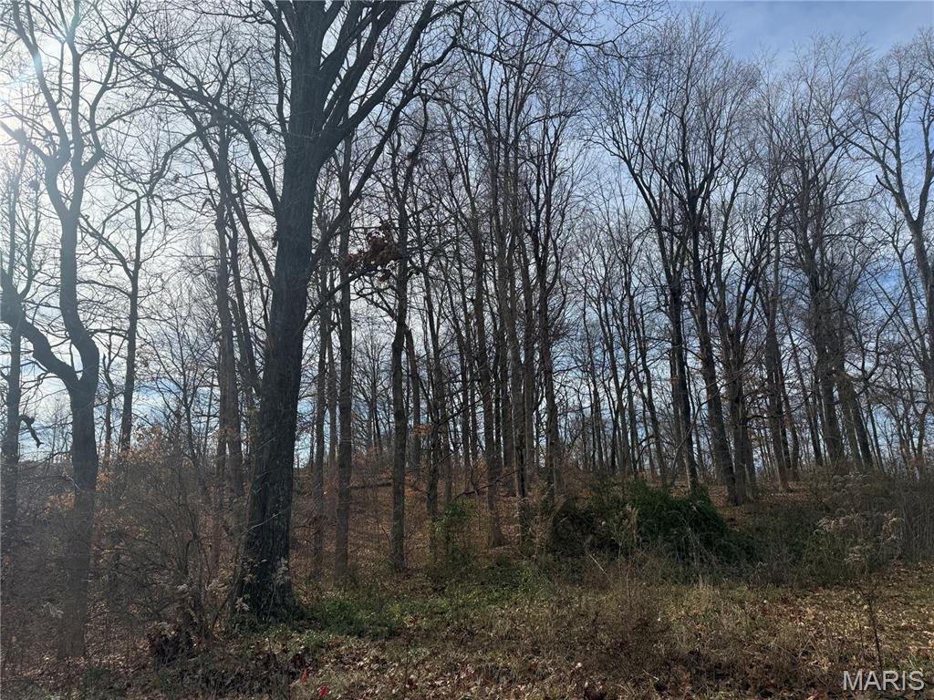 Meadows/Whispering Oaks - Land