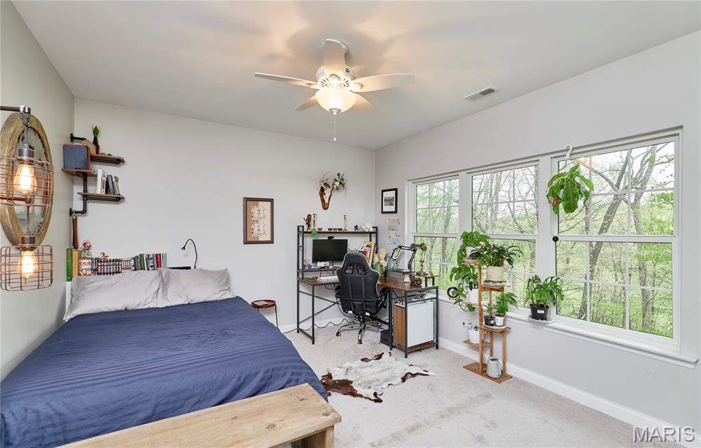 Paradise Valley - Residential