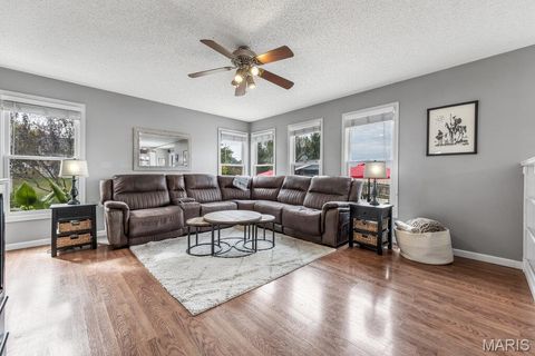 Tiny photo for 4021 Jessica Drive, Wentzville, MO 63385 (MLS # 25070060)