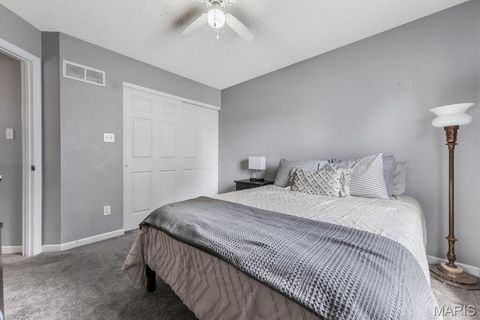 Tiny photo for 4021 Jessica Drive, Wentzville, MO 63385 (MLS # 25070060)