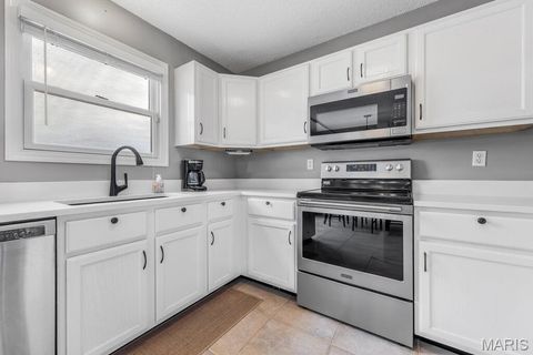 Tiny photo for 4021 Jessica Drive, Wentzville, MO 63385 (MLS # 25070060)