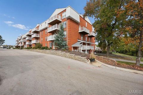 Tiny photo for 14443 Bantry Lane #1, Chesterfield, MO 63017 (MLS # 25064437)