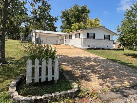 Photo of 315 Lilac Drive, Potosi, MO 63664 (MLS # 26011685)