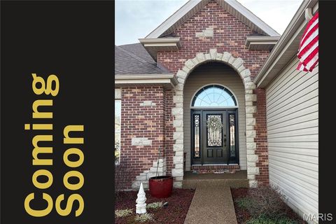 Photo of 222 Andrea Lynne Drive, Wentzville, MO 63385 (MLS # 26012901)