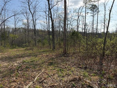 Tiny photo for 1 Furnace Creek Road, Potosi, MO 63664 (MLS # 26022877)