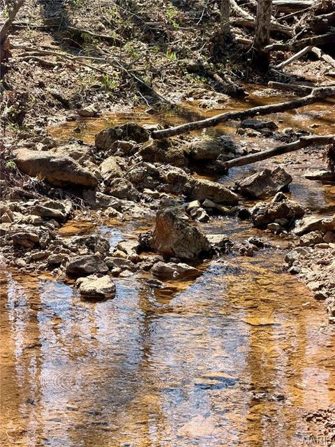 Tiny photo for 1 Furnace Creek Road, Potosi, MO 63664 (MLS # 26022877)