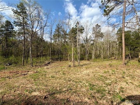 Tiny photo for 1 Furnace Creek Road, Potosi, MO 63664 (MLS # 26022877)