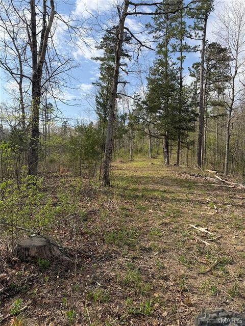 Tiny photo for 1 Furnace Creek Road, Potosi, MO 63664 (MLS # 26022877)