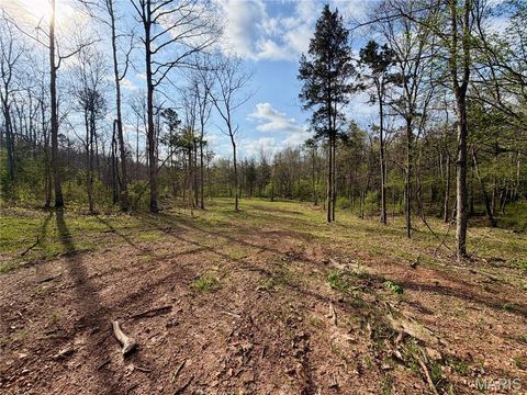 Tiny photo for 1 Furnace Creek Road, Potosi, MO 63664 (MLS # 26022877)