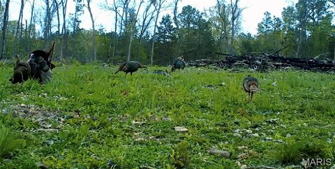 Tiny photo for 1 Furnace Creek Road, Potosi, MO 63664 (MLS # 26022877)