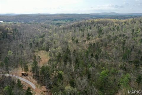 Photo of 1 Furnace Creek Road, Potosi, MO 63664 (MLS # 26022877)