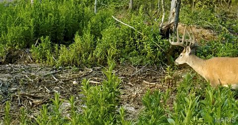 Tiny photo for 1 Furnace Creek Road, Potosi, MO 63664 (MLS # 26022877)