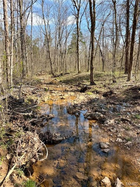 Tiny photo for 1 Furnace Creek Road, Potosi, MO 63664 (MLS # 26022877)