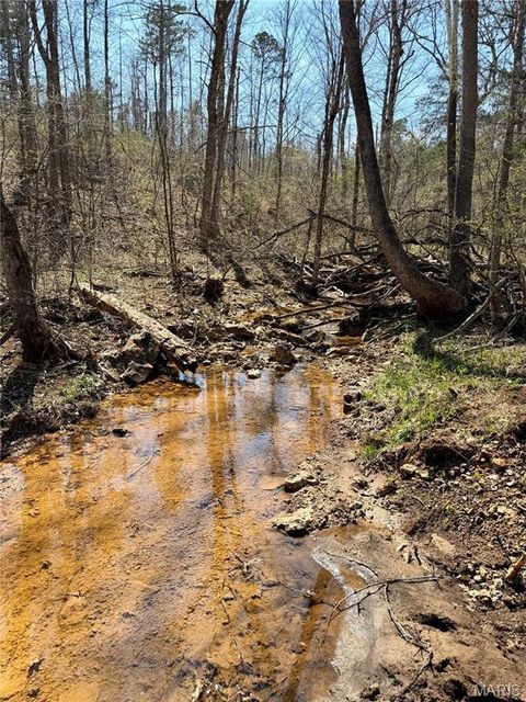 Tiny photo for 1 Furnace Creek Road, Potosi, MO 63664 (MLS # 26022877)