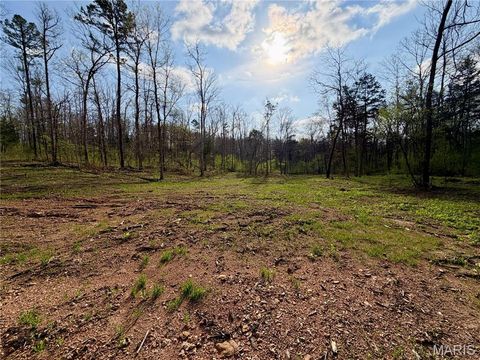 Tiny photo for 1 Furnace Creek Road, Potosi, MO 63664 (MLS # 26022877)