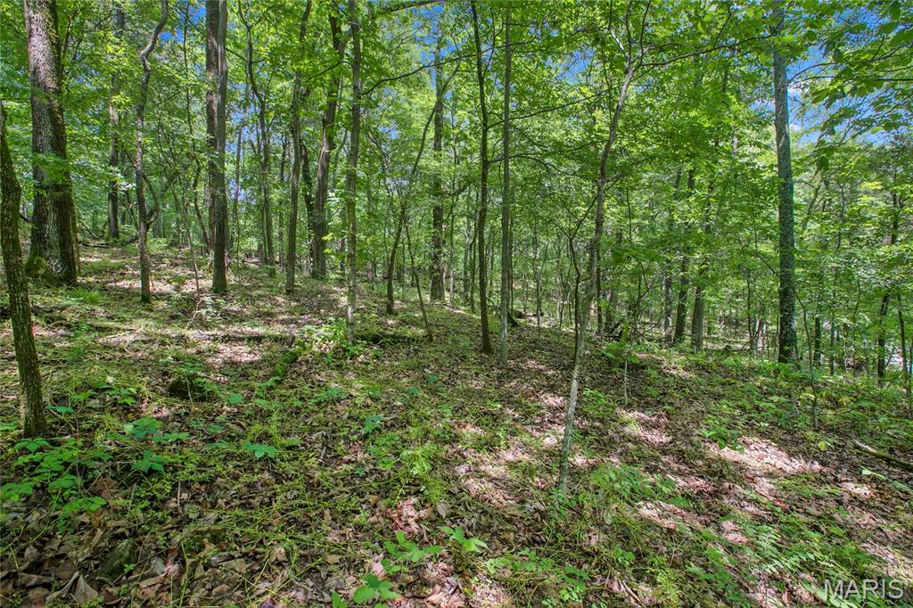 6.26 acres Mississippi Queen Court