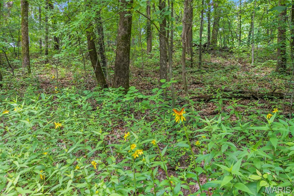 6.26 acres Mississippi Queen Court