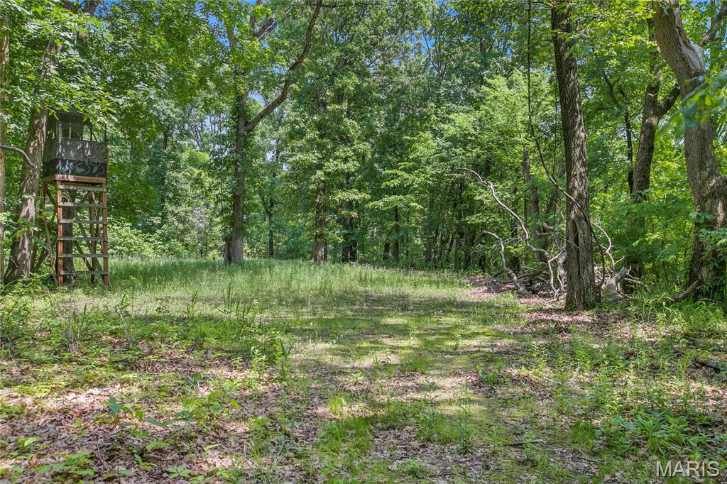 6.26 acres Mississippi Queen Court