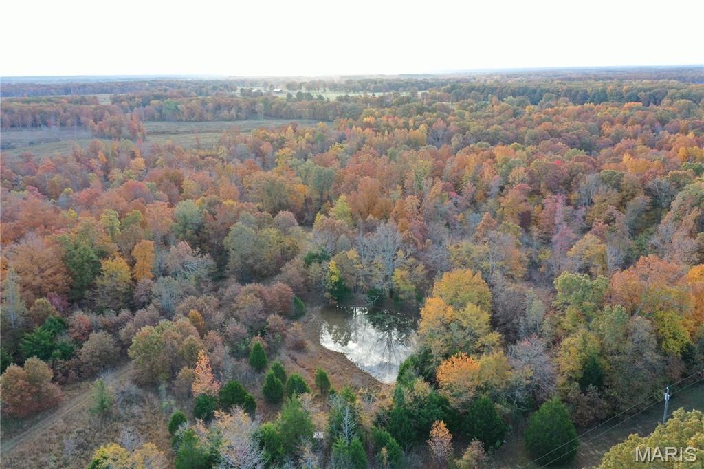 Photo of TBD Tract 2 Bobwhite Lane, Fairdealing, MO 63939 (MLS # 25080231)