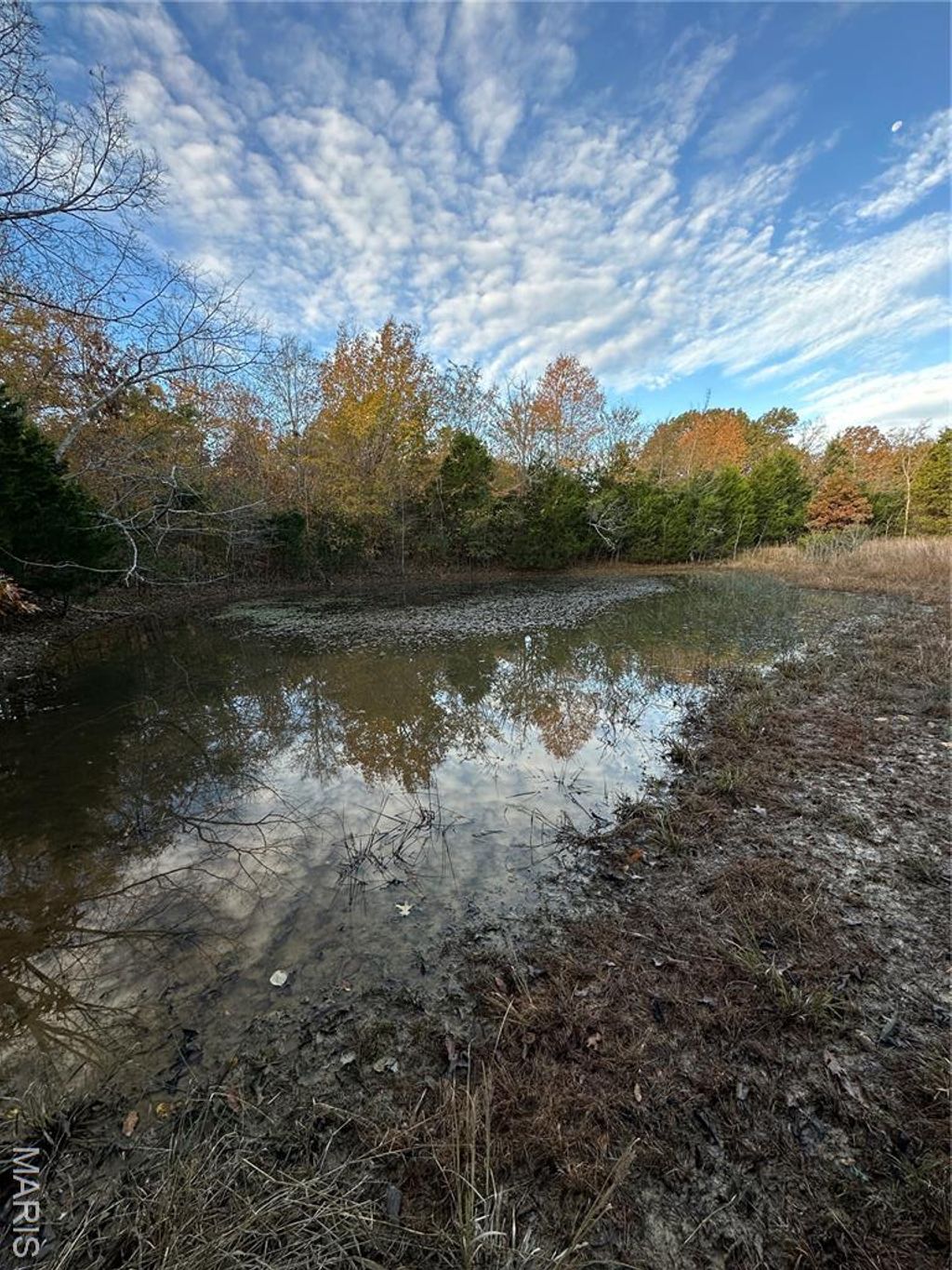 Photo of TBD Tract 2 Bobwhite Lane, Fairdealing, MO 63939 (MLS # 25080231)