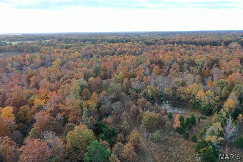 Photo of TBD Tract 2 Bobwhite Lane, Fairdealing, MO 63939 (MLS # 25080231)