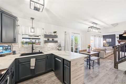 Tiny photo for 19 Cambridge Court, Troy, MO 63379 (MLS # 26013824)