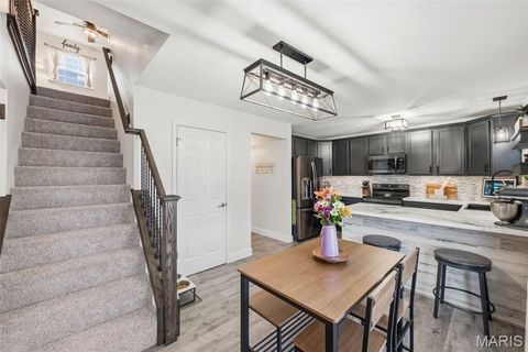 Tiny photo for 19 Cambridge Court, Troy, MO 63379 (MLS # 26013824)