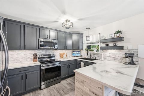 Tiny photo for 19 Cambridge Court, Troy, MO 63379 (MLS # 26013824)