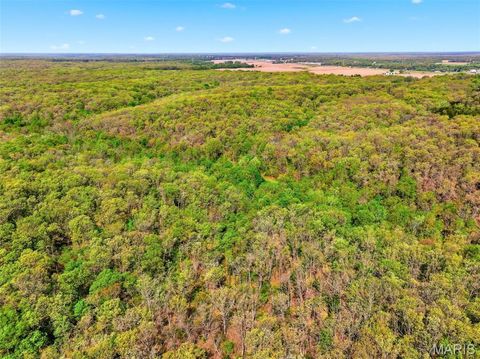Tiny photo for 177 Tree Farm Road, New Florence, MO 63363 (MLS # 26024548)