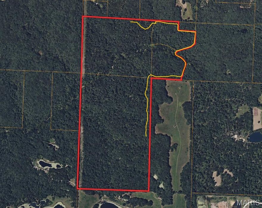 Incredible opportunity to own 177+/- acres in the hottest area in Montgomery County.  This versatile piece would be great for recreation, development, and future investment upside. The property is located conveniently close to the interchange at Hwy 19 and Interstate 70, and accessed off of the South outer road. It offers great deer and turkey hunting, with a nice mix of timbered draws, beautiful ridges and a live creek.  A recently manicured road system provides easy access throughout the property. There are multiple, scenic build sites across the property and there is access to electric. Whether you are looking to build your dream home on a large tract that you can hunt, or have a weekend getaway/hunting camp, this piece is ready for your vision.  Less than 1 hour from Chesterfield Valley and right in the mix of the surge of investment into the New Florence area.  More acreage could be available in addition to the 177+/- (Up to a total of 290+ Acres).  Owner willing to subdivide.  Call for a private tour today.