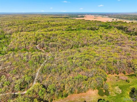 Tiny photo for 177 Tree Farm Road, New Florence, MO 63363 (MLS # 26024548)