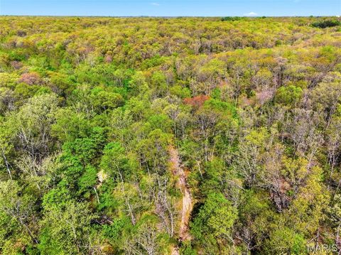 Tiny photo for 177 Tree Farm Road, New Florence, MO 63363 (MLS # 26024548)