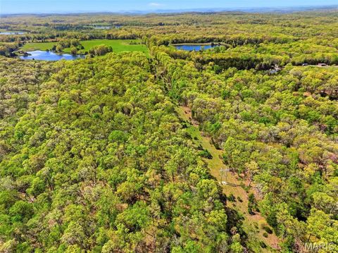 Tiny photo for 177 Tree Farm Road, New Florence, MO 63363 (MLS # 26024548)