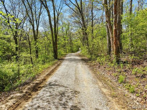 Tiny photo for 177 Tree Farm Road, New Florence, MO 63363 (MLS # 26024548)