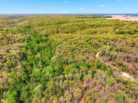 Tiny photo for 177 Tree Farm Road, New Florence, MO 63363 (MLS # 26024548)