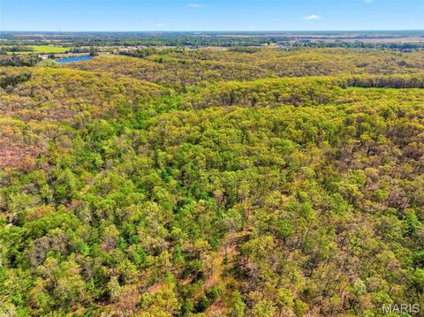 Tiny photo for 177 Tree Farm Road, New Florence, MO 63363 (MLS # 26024548)