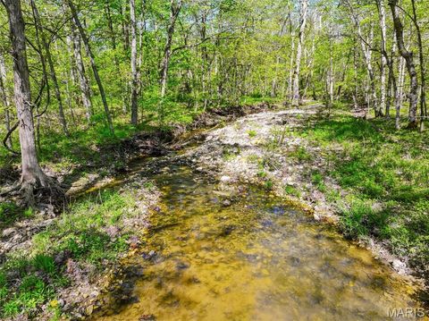 Tiny photo for 177 Tree Farm Road, New Florence, MO 63363 (MLS # 26024548)