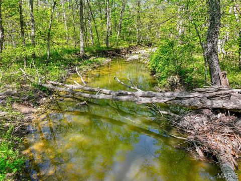 Tiny photo for 177 Tree Farm Road, New Florence, MO 63363 (MLS # 26024548)